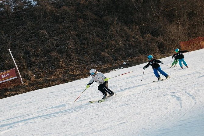 [Private Tour] Nami Island & Ski (Ski Lesson, Equip & Clothing Included) - Tour Itinerary Highlights