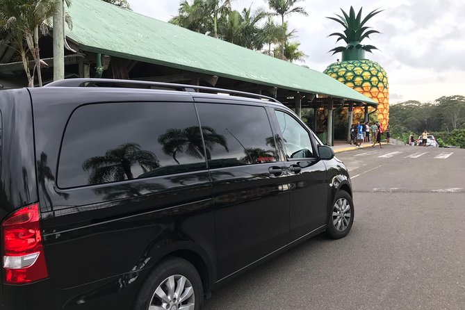 Private Transfer From Sunshine Coast Airport to Noosa 7 Seater + Luggage Trailer - Transfer Service Overview