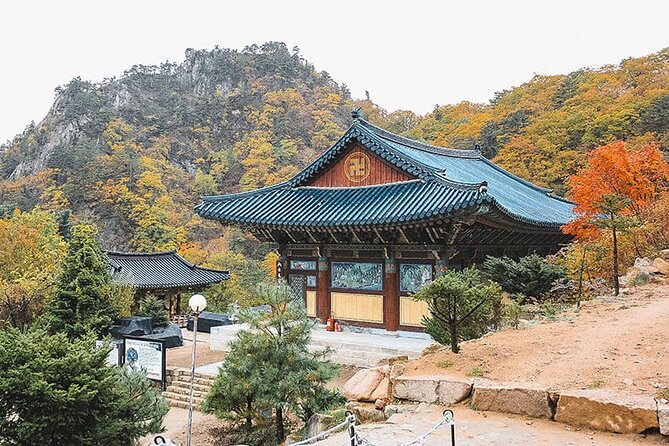 Private Van to Mount Seoraksan, Naksansa & Vicinity(Up to 14 Pax) - Tour Overview and Inclusions