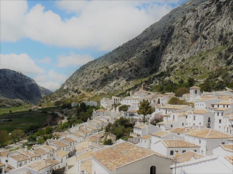 Pueblos Blancos & Ronda: Private Full-Day Tour From Seville