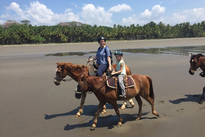 Quality Horseback Riding On The Beach - Jungle Exploration on Horseback