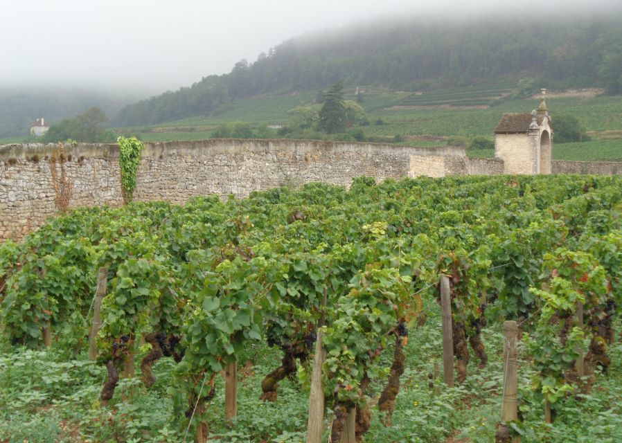 Route Des Grands Crus', Private Wine Tasting in Burgundy! - Tour Duration and Guide Availability