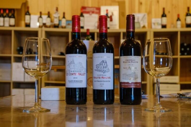 Saint-Émilion: Visit to a Family Vineyard and Wine Tasting