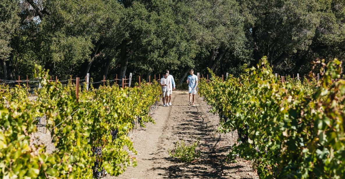 San Francisco: Half-Day Wine Country Excursion With Tastings - Inclusions