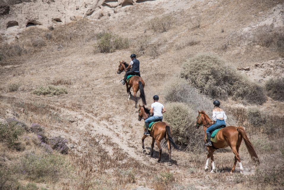 Santorini: Horse Riding Trip to Black Sandy Beach - Activity Details