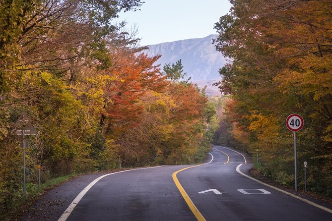 Scenic Jiri Mountain Autumn Foliage One Day Tour - Tour Highlights and Features