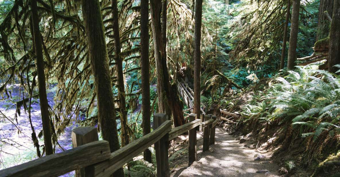 Seattle And Olympic NP Self-Guided Audio Bundle Tour - Tour Highlights