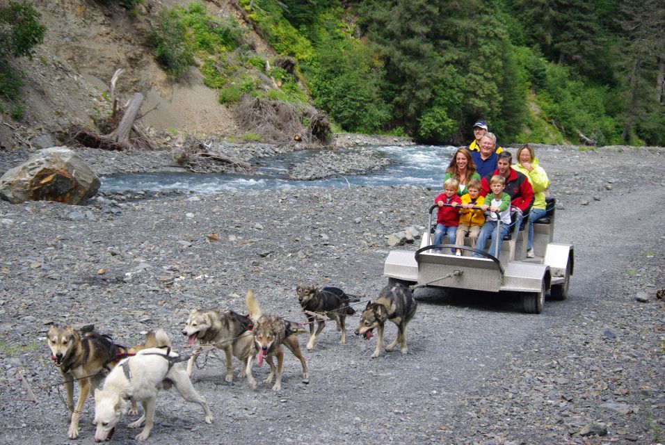 Seward: Summer Dog Sled Ride and Seavey Estate Tour - Pricing and Duration