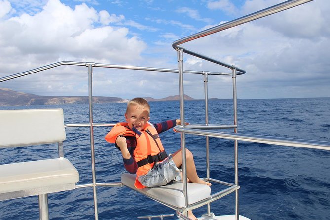 Small Group Whale Watching Catamaran Cruise With Transfer, Food & Snorkeling - Tour Highlights