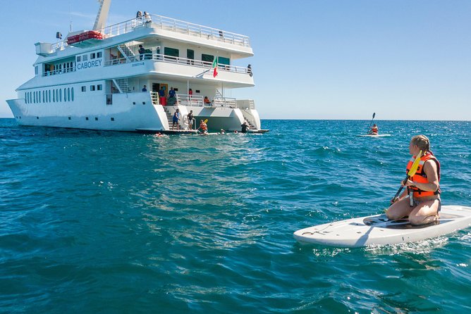 Snorkeling Tour in Cabo San Lucas - Tour Location and Cruise Experience