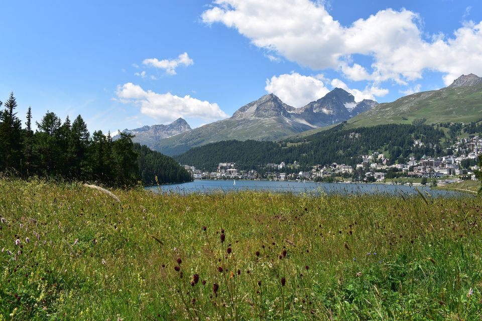 St. Moritz: Private Guided Town Highlights Walking Tour - Tour Details