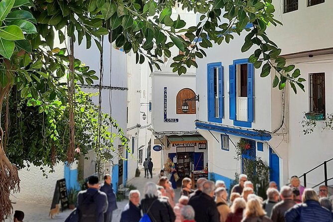Tangier Essential Tour 1 Day - Itinerary Highlights