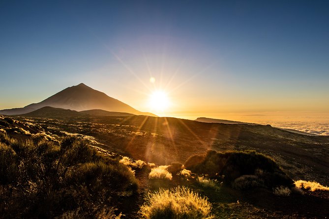 Teide by Night: Sunset & Stargazing With Telescopes Experience - Inclusions