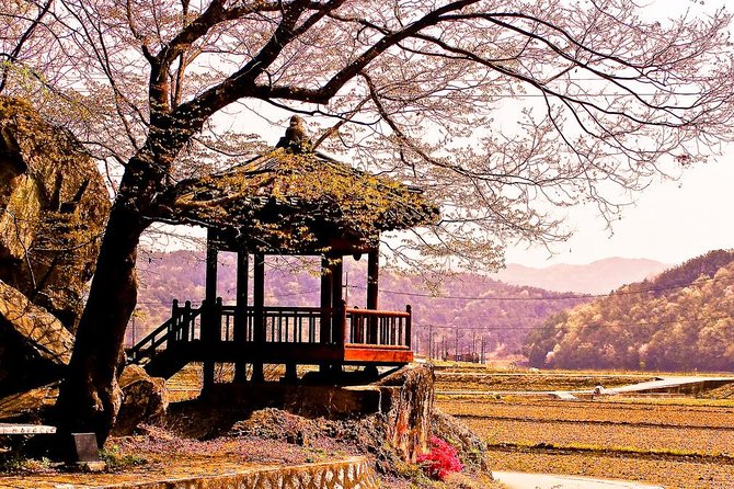 The Beauty of the Korea Cherry Blossom Discover 11days 10nights - Cherry Blossom Itinerary Details