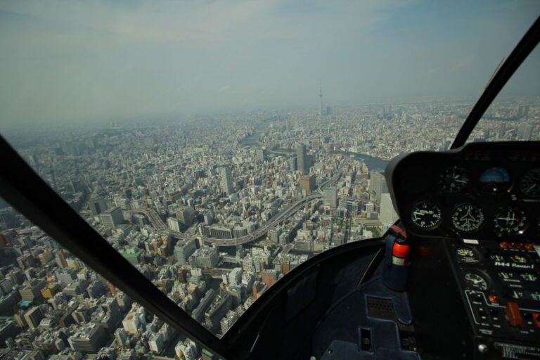Tokyo: Guided Helicopter Ride With Mount Fuji Option