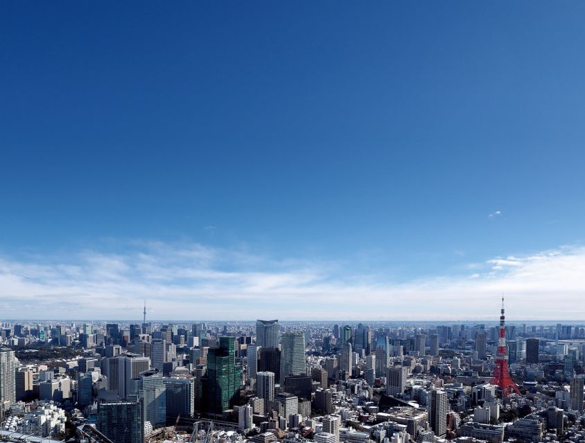 Tokyo: Roppongi Hills Observatory Ticket - Ticket Details