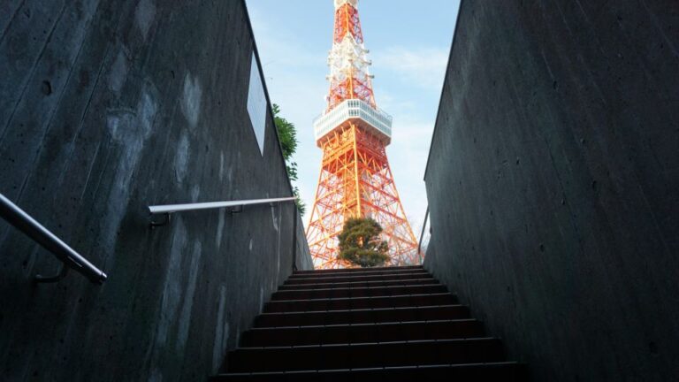 Top 3 Hidden Tokyo Tower Photo Spots and Local Shrine Tour