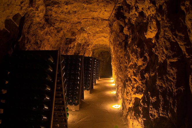 Tour of a Vineyard, Winery & Cellar With Wine Tasting in Vouvray, Loire Valley - Booking Details