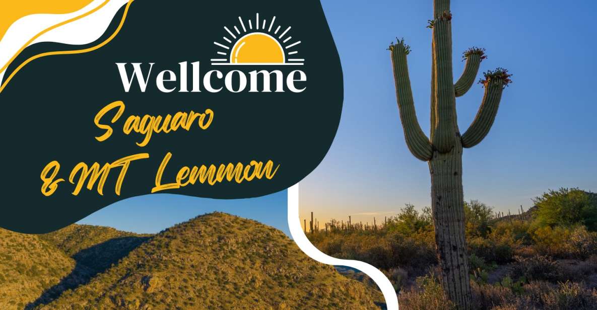 Tucson: Mt Lemmon & Saguaro NP Self-Guided Bundle Tour - Tour Description