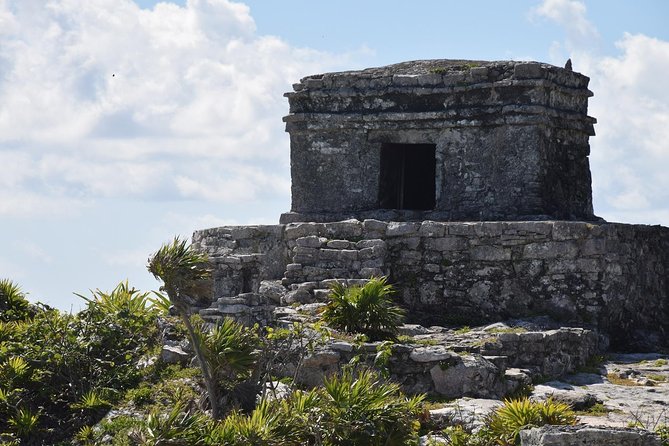 Tulum Ruins, Turtles in Akumal and Cenote Tour - Tour Pricing and Inclusions