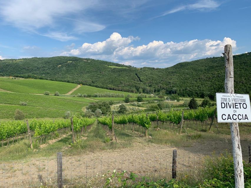 TUSCANY: WINE TASTING IN THE HEART OF CHIANTI CLASSICO - Tour Details