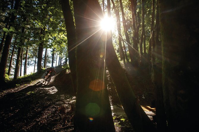 Two Hours Guided E-Bike Tour – Arzler Alm Single Trail