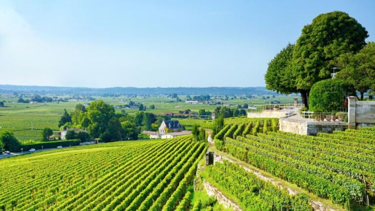 UNESCO Heritage and Wine Delights Private Tour From Bordeaux