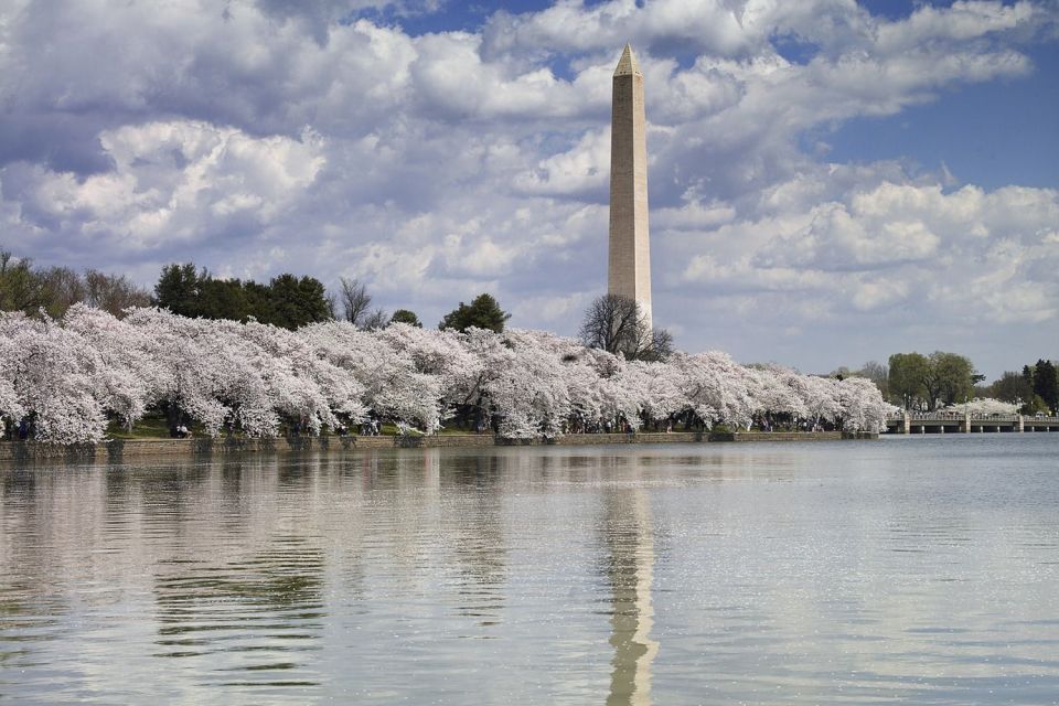 Washington DC Must See Sights Half-Day Tour - Availability and Highlights