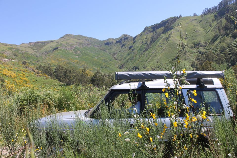 West Tour Full Day 4x4 Jipe Tour Natural Swimming Pools - Tour Overview