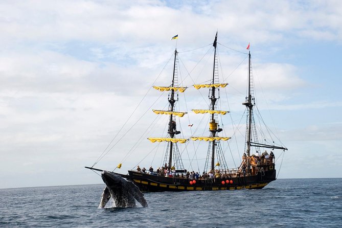 Whale-Watching Pirate Ship Cruise in Los Cabos - Onboard Experience