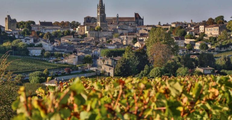 World Heritage Sites & Wineries of Saint Emilion With Lunch