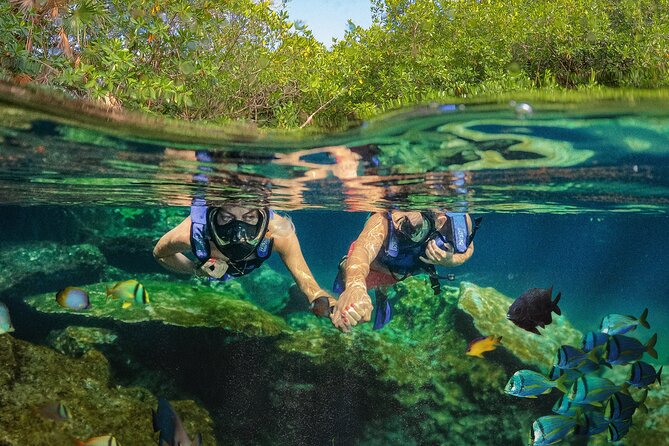 Xel-Ha Park All-Inclusive Admission Tickets - Park Features and Amenities