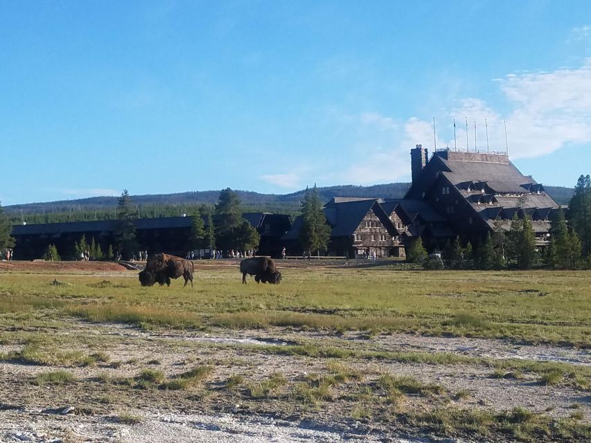 Yellowstone: Upper Geyser Basin Guided and Audio Tour - Tour Details