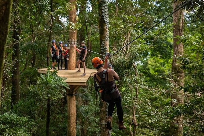 Ziplining Cape Tribulation With Treetops Adventures - Ziplining Experience Overview