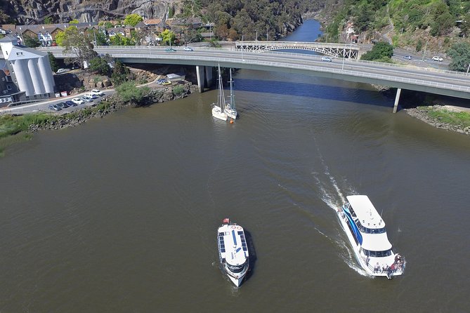 2.50 Hour Afternoon Discovery Cruise Including Cataract Gorge Departing at 3 Pm - What to Expect Onboard