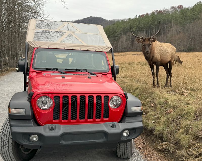 4 HR. Guided Safari Jeep Eco, ELK Wilderness Adventure - Encounter Diverse Wildlife and Waterfalls