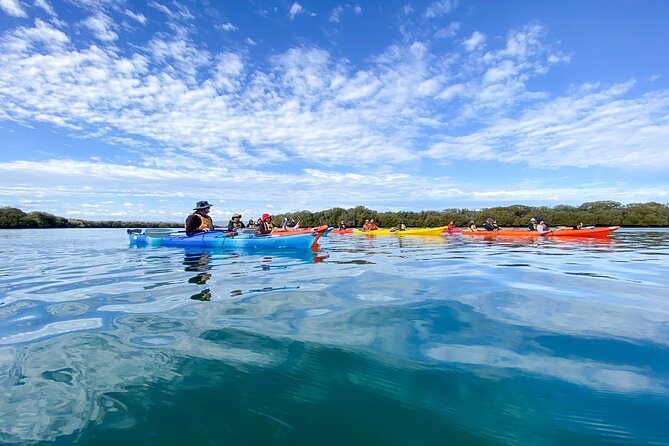 Adelaide Dolphin Sanctuary and Ships Graveyard Kayak Tour - Meeting Your Expert Guide