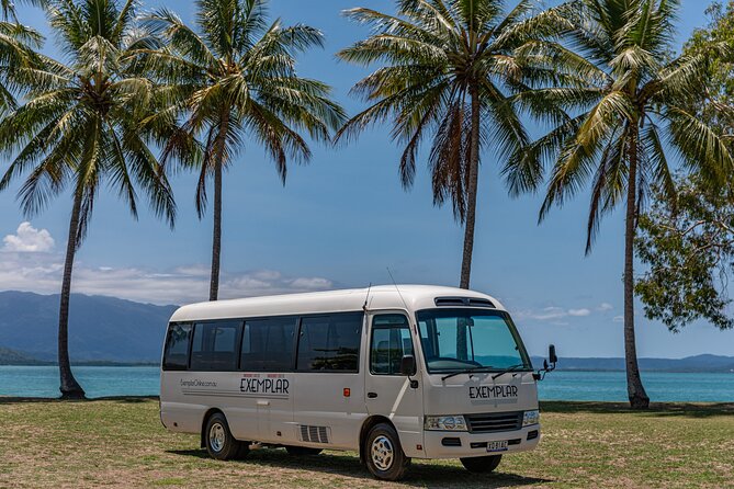 Airport Transfers Between Cairns Airport and Palm Cove - Reviews and Ratings Summary