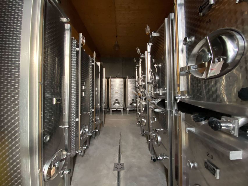 Alsace: Wine Cellar Visit With Unlimited Tastings - Wine Cellar Experience Details