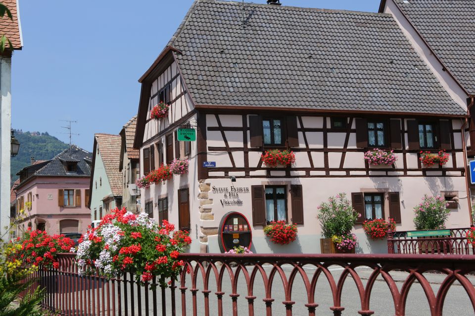 Alsace: Winery Tour & Tasting - Tour Options and Pricing