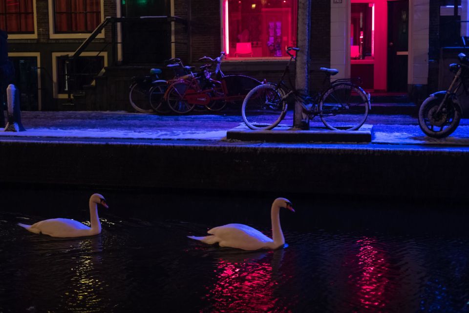 Amsterdam Red Light District & Coffeeshop Culture Tour - Experience Highlights