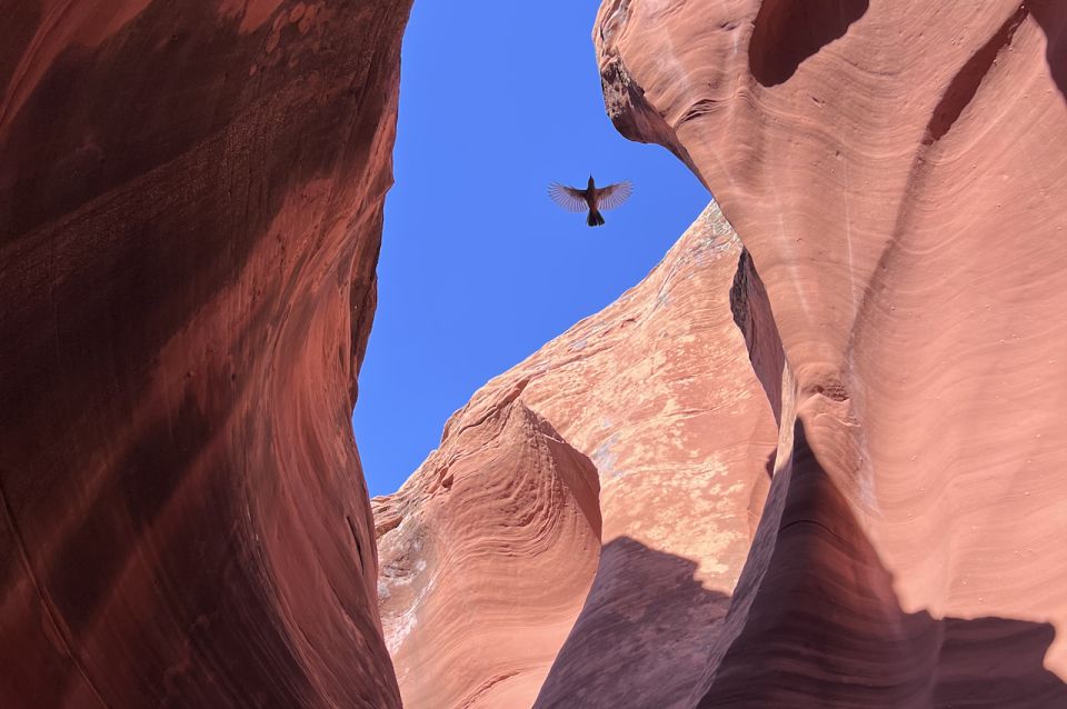 Antelope Canyon: Rattlesnake Canyon Tour - Experience