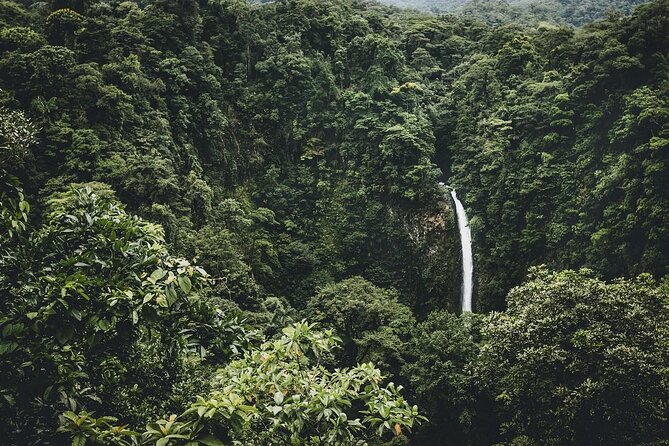 Arenal 12 Zipline Cables Experience With La Fortuna Waterfall - Thrilling Canopy Tour Highlights