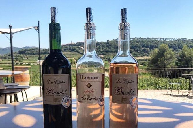 Bandol/Cassis Wine Day Tour : 8hours - Wine Tasting Experience