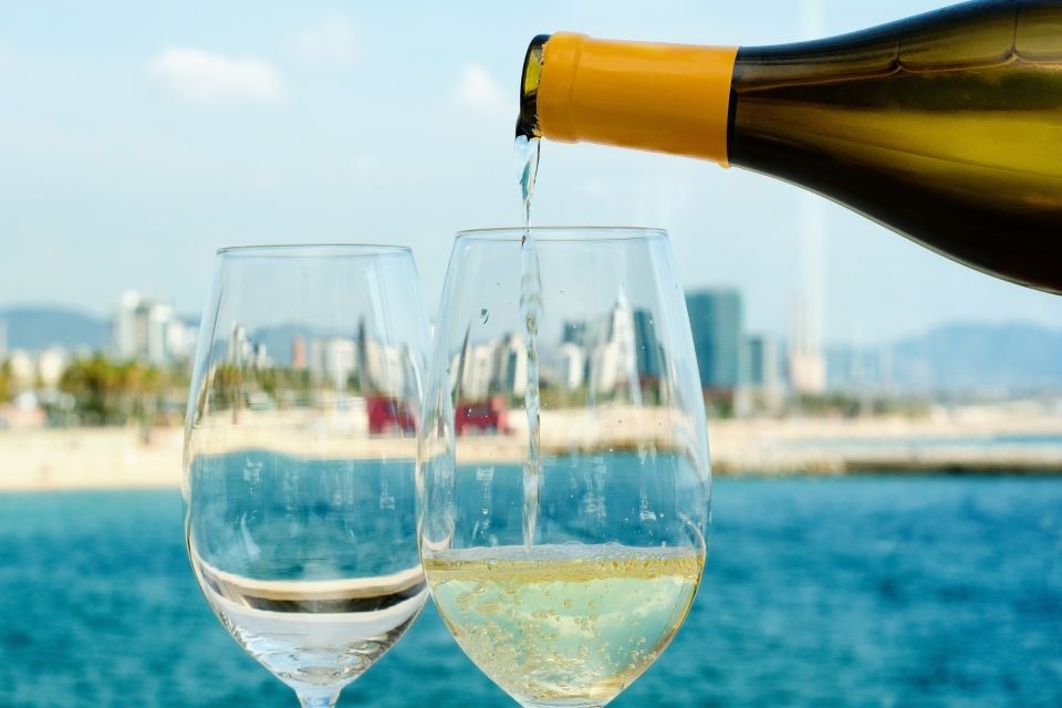 Barcelona Wine Tasting Private Tour With Wine Expert - Pricing and Duration