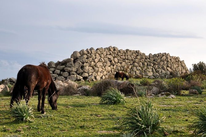 Barumini Unesco Site and Giara of Gesturi Tour From Cagliari - Reviews and Ratings