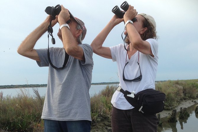 Birdwatching by Boat in a Small Group in the Pialassa Baiona - Itinerary Highlights