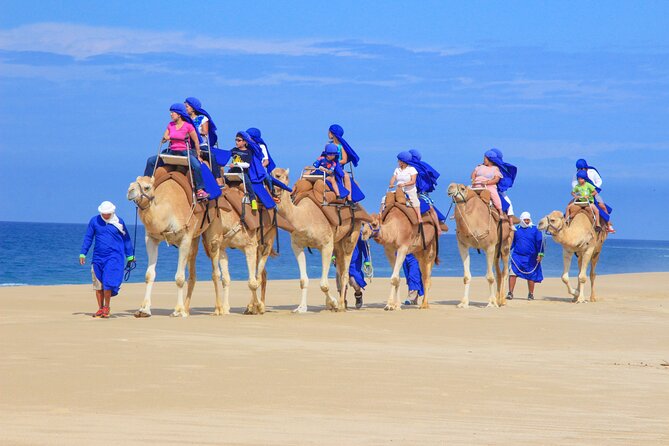 Boat Ride to the Arch and Beach Camel Ride in Cabo San Lucas Shared Tour - Pricing and Inclusions