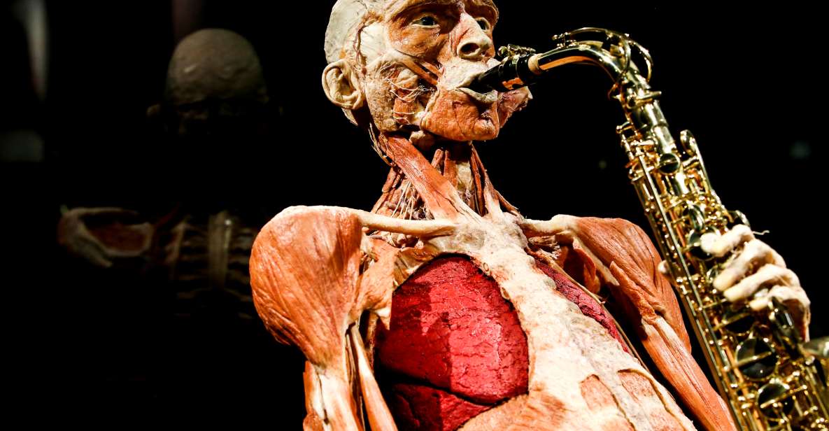 Body Worlds Amsterdam: The Happiness Project Ticket - Booking Process
