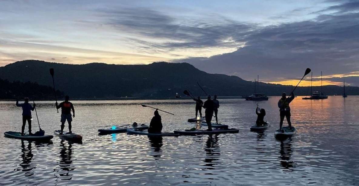 Brentwood Bay: Stand-up Paddleboard Bioluminescence Tour - Activity Itinerary